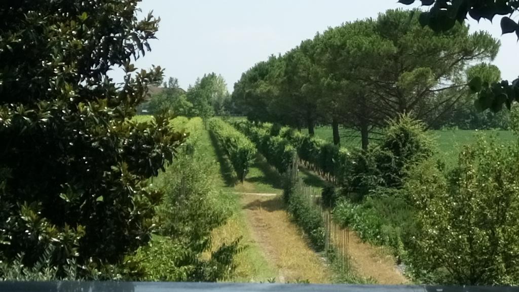 La Pioppa Agriturismo Сачіле Екстер'єр фото