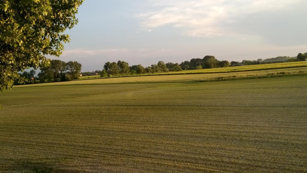 La Pioppa Agriturismo Сачіле Екстер'єр фото